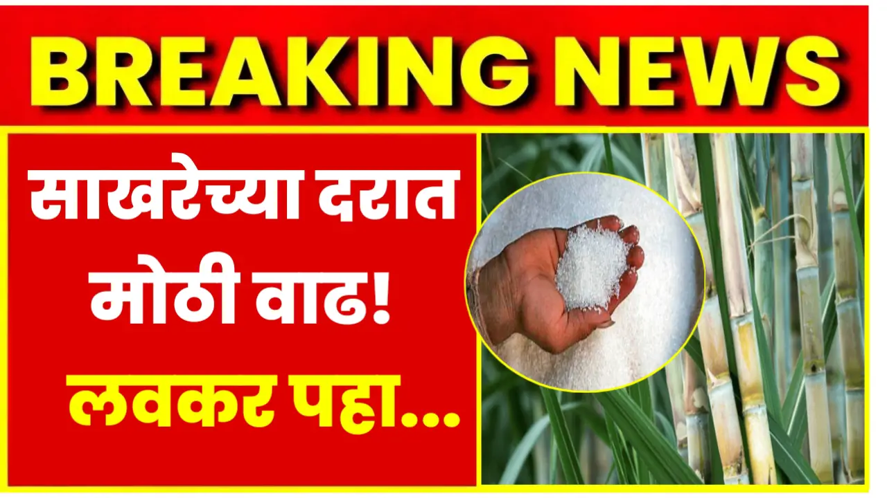 sugar rate today increase