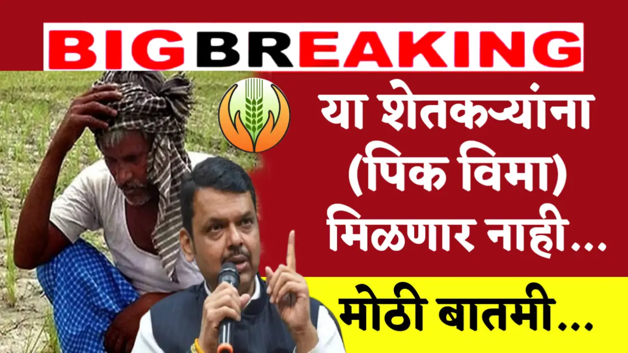 These farmers will not get crop insurance