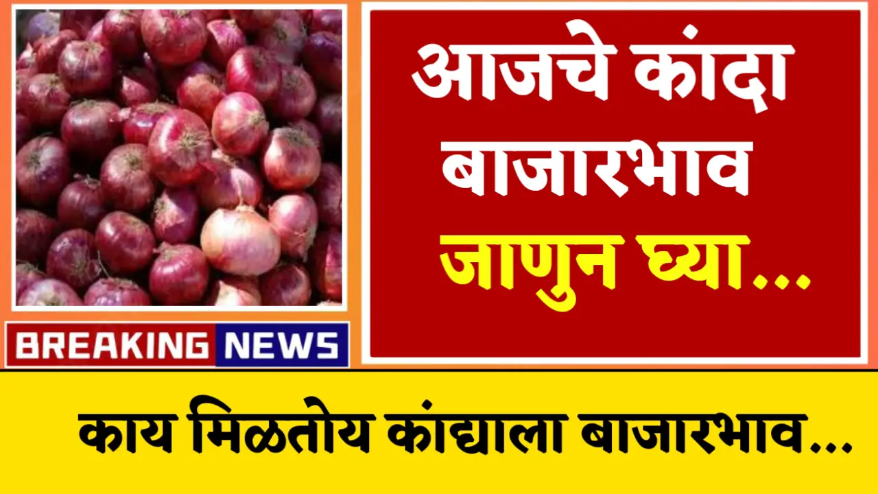 onion market rate today update