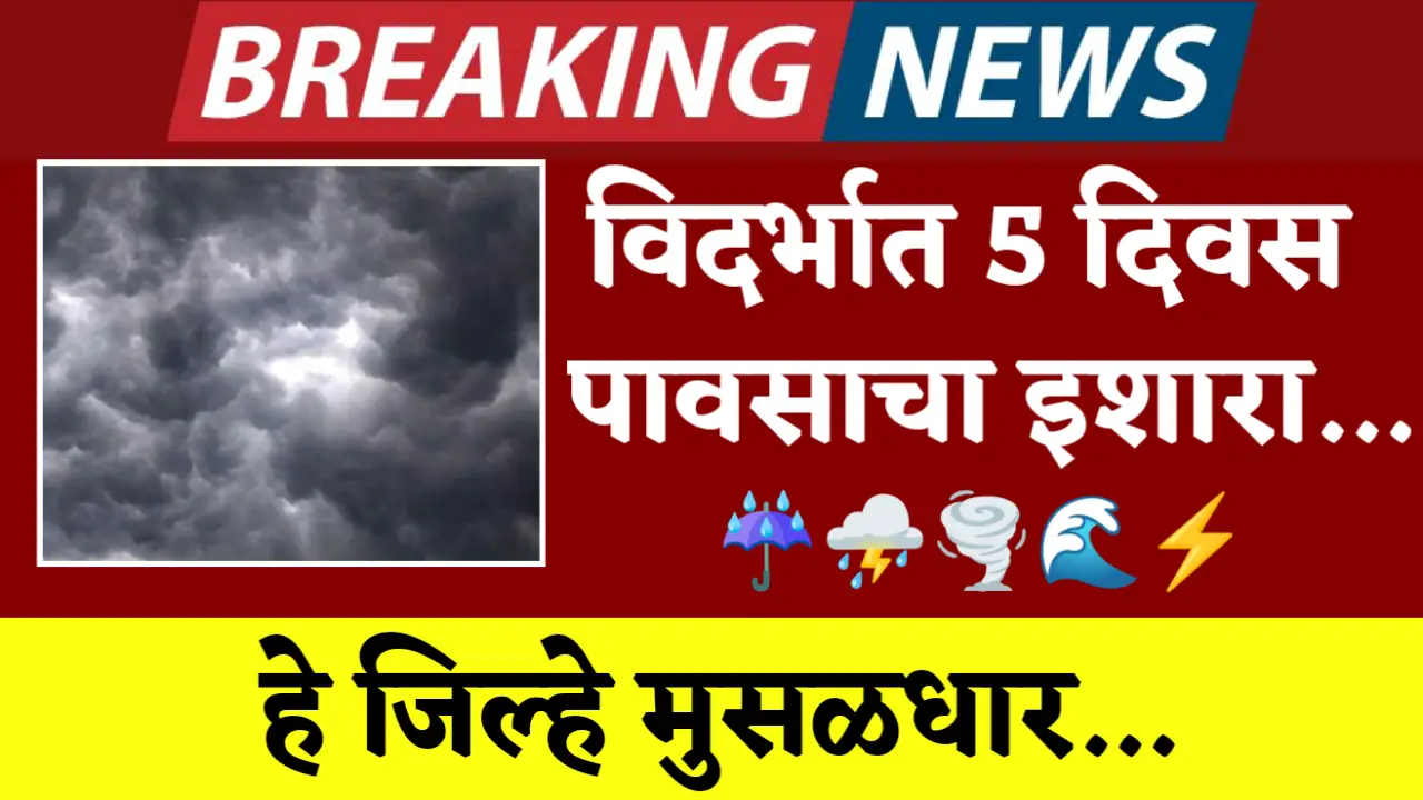 Heavy rain warning for 5 days in Vidarbha