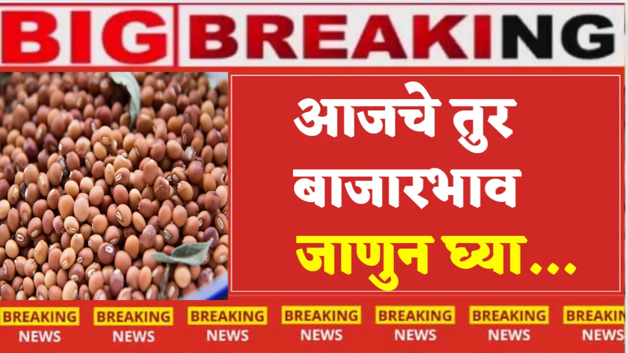 tur bazarbhav maharashtra